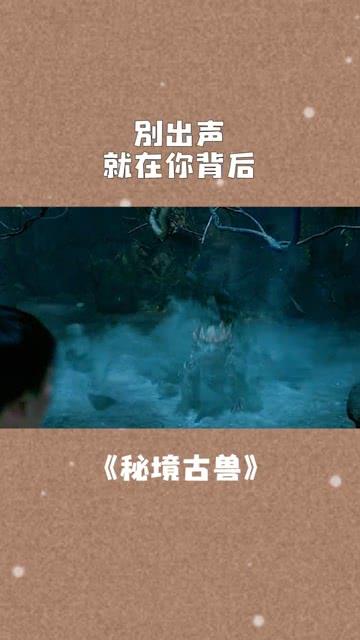 网球公开赛
