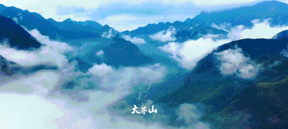 小猫钓鱼开船版最新版下载