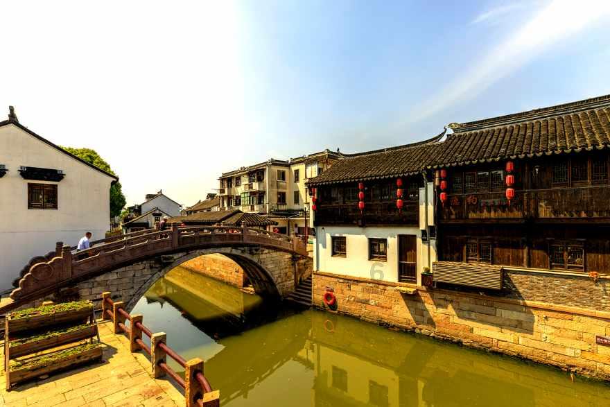 动物帮帮忙保卫家园